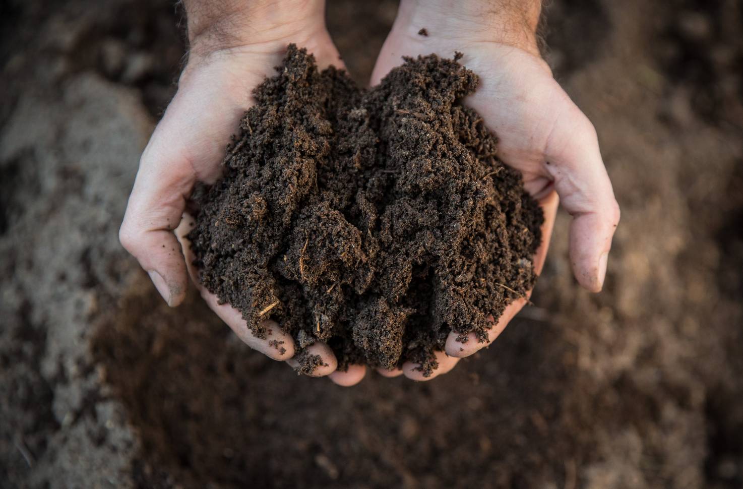 composting hands 2